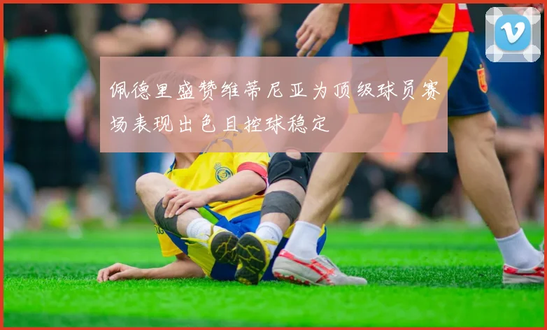佩德里盛赞维蒂尼亚为顶级球员赛场表现出色且控球稳定