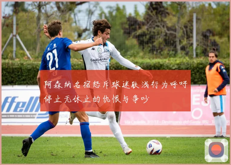 阿森纳名宿怒斥球迷肤浅行为呼吁停止无休止的仇恨与争吵